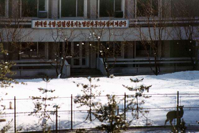 zYsM8NXG.jpg