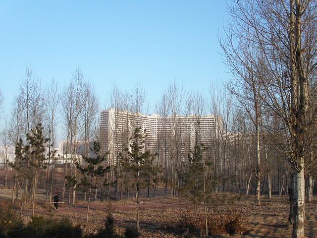 Uq7Z975d.jpg