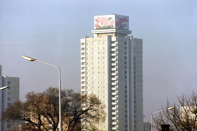J9HDi9lG.jpg
