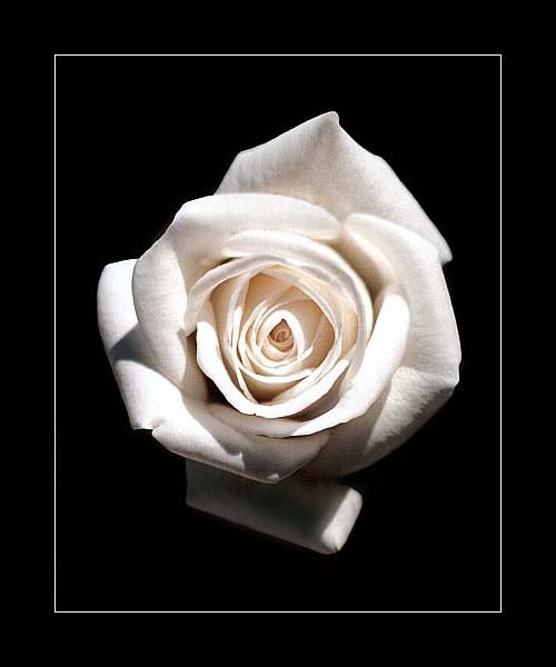 Photosig ǰ10Ӱ