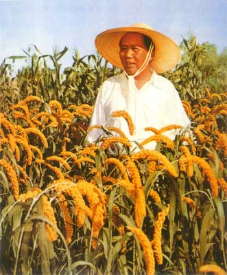 ʷļ֤~~1949-1999~~~~