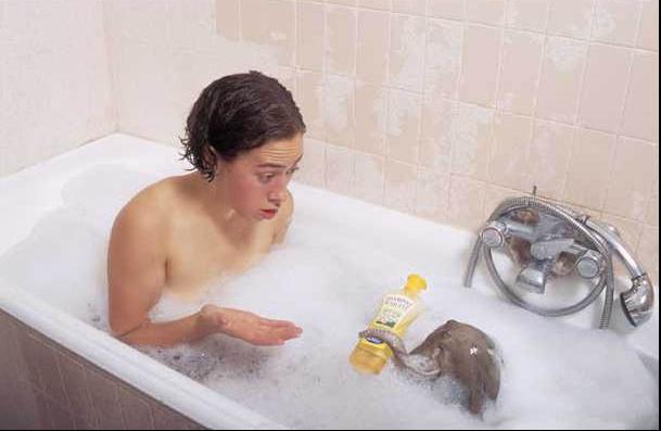 []ӾϵѧƷ
