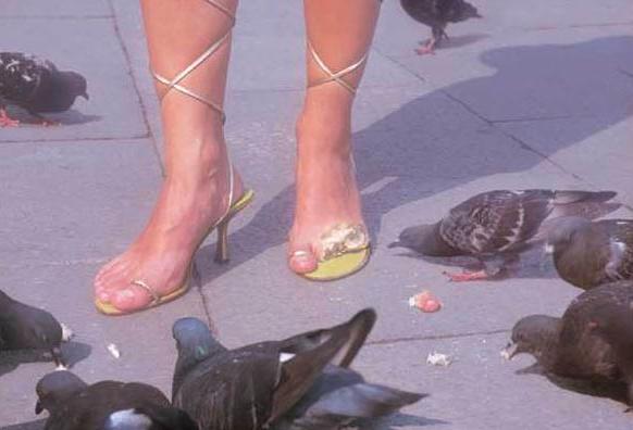 []ӾϵѧƷ