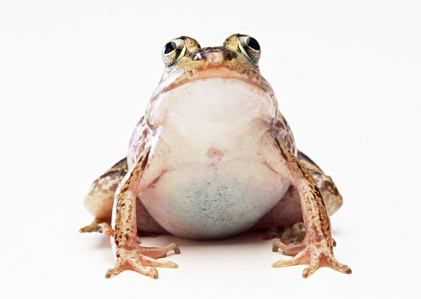 Ұܣ