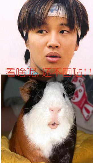 bbsﳣЦǿͼ^_^Ŷ