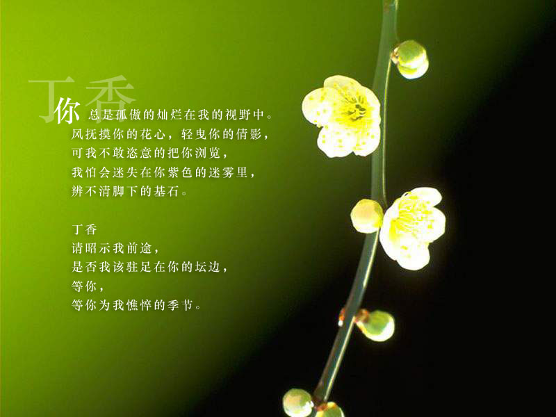 һȥҲѸգǻҪҪȥ