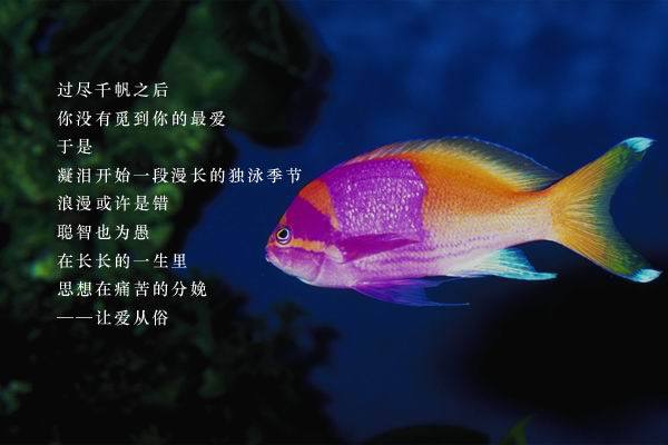 һȥҲѸգǻҪҪȥ